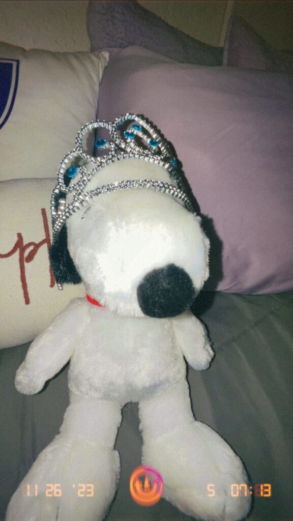 A Snoopy plush from Kohl's wearing a fabulous tiara, with a vintage filter on the photo.