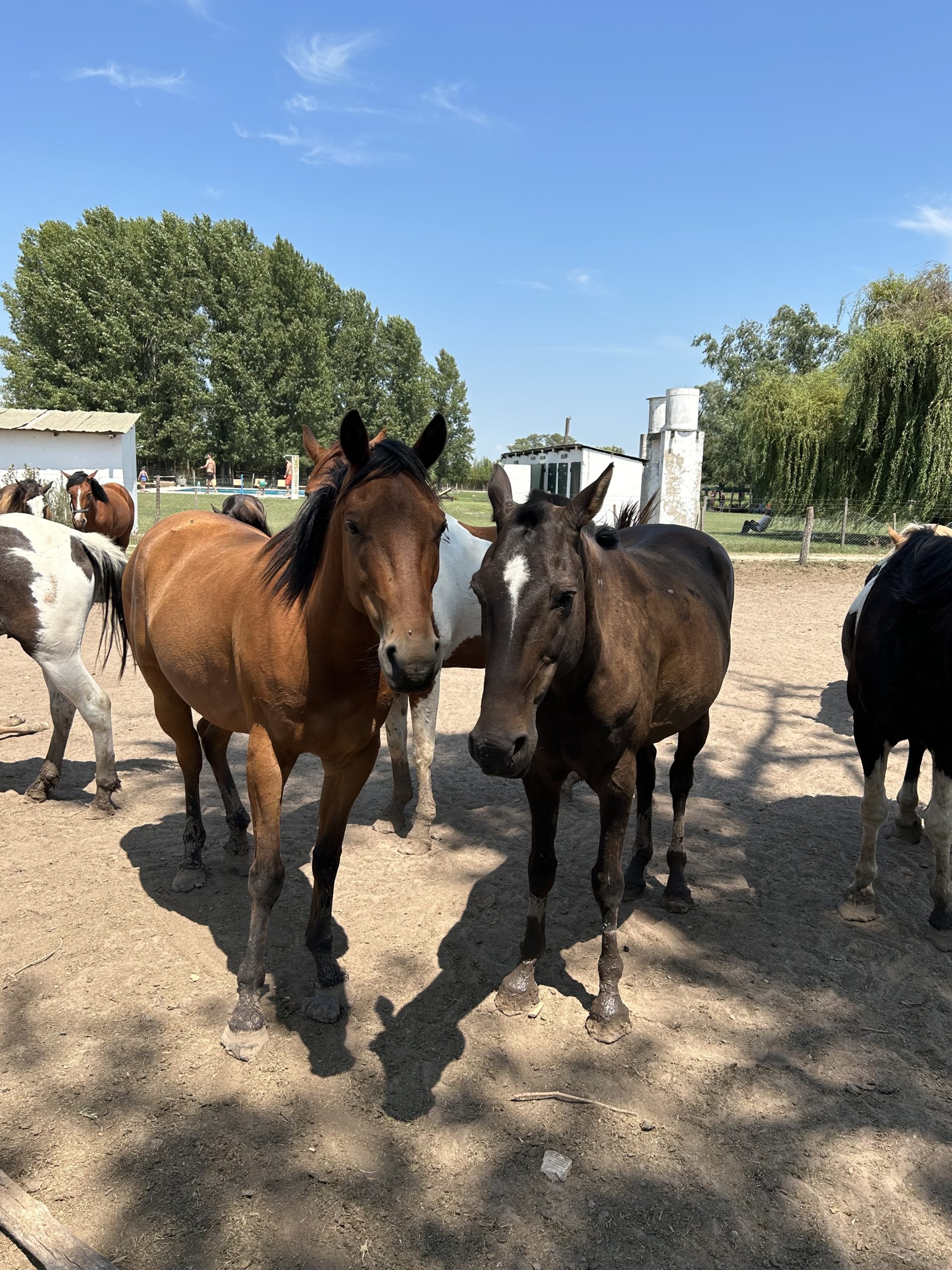 La Estancia Don Silvano