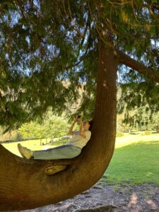 Picture of me chilling in a tree at Glendalough