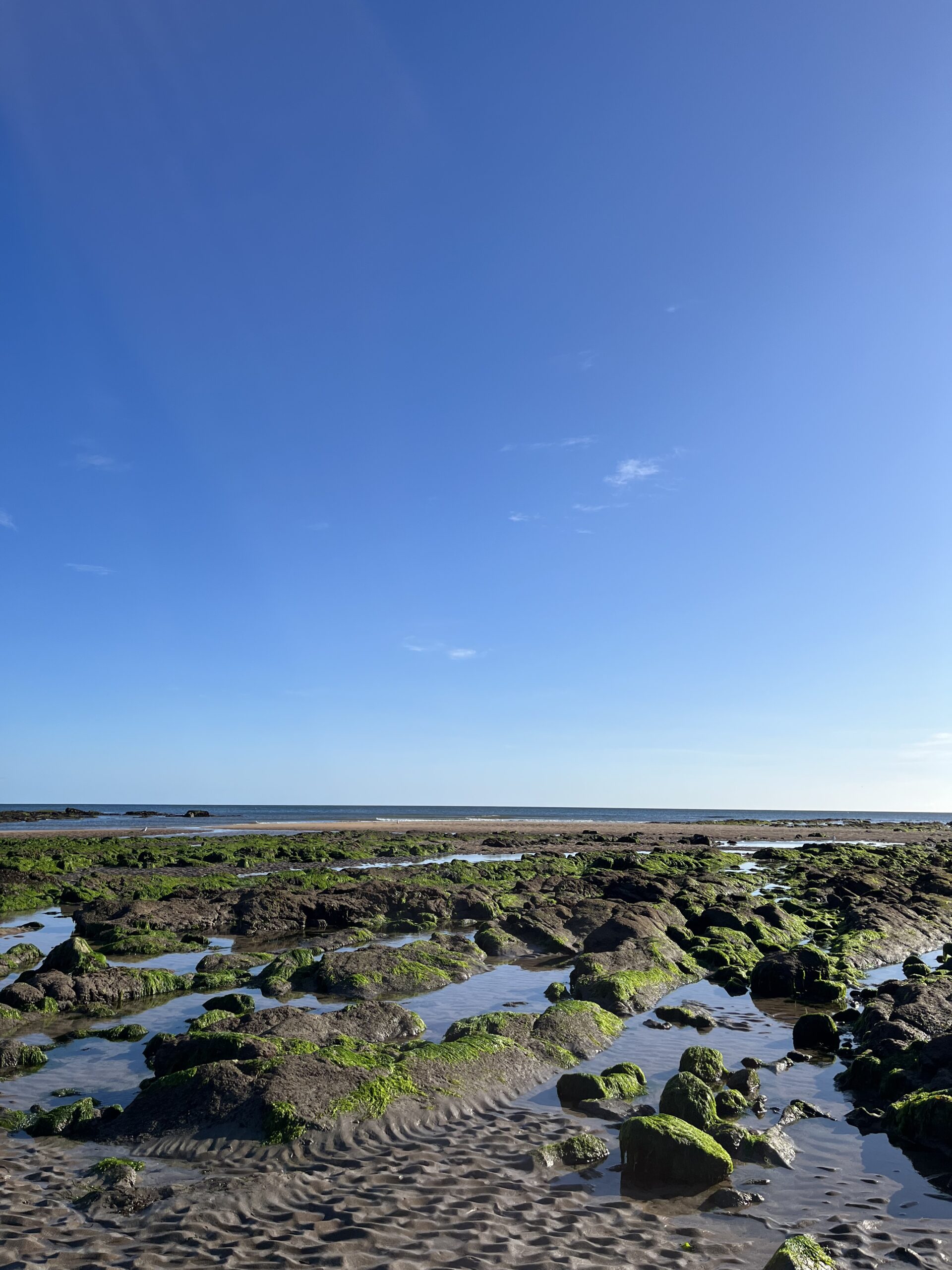 East Sands at Lowtide