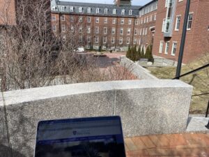 Brick building in the distance covered in naked vines, taken from what appears to be a higher ledge with a glimpse of a computer on the bottom left corner.