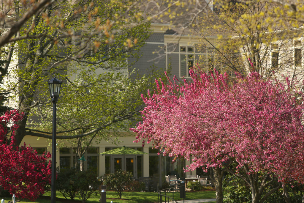 Ciampi Hall in spring 2016