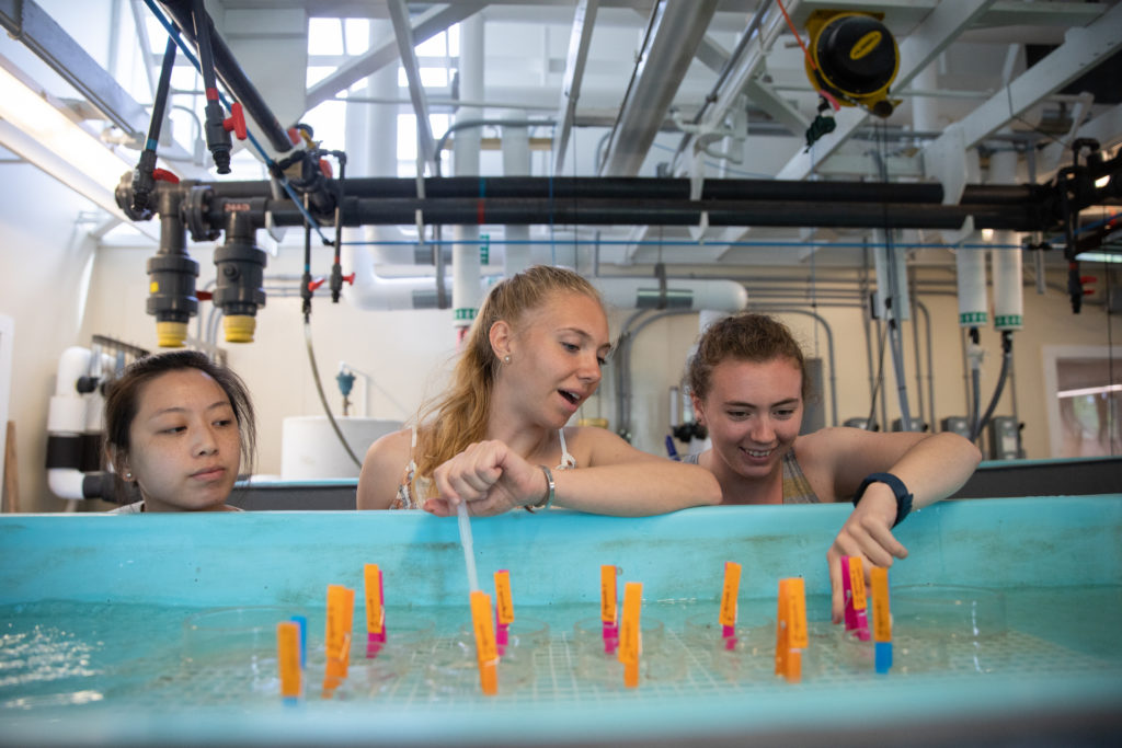 Three students viewing research tank