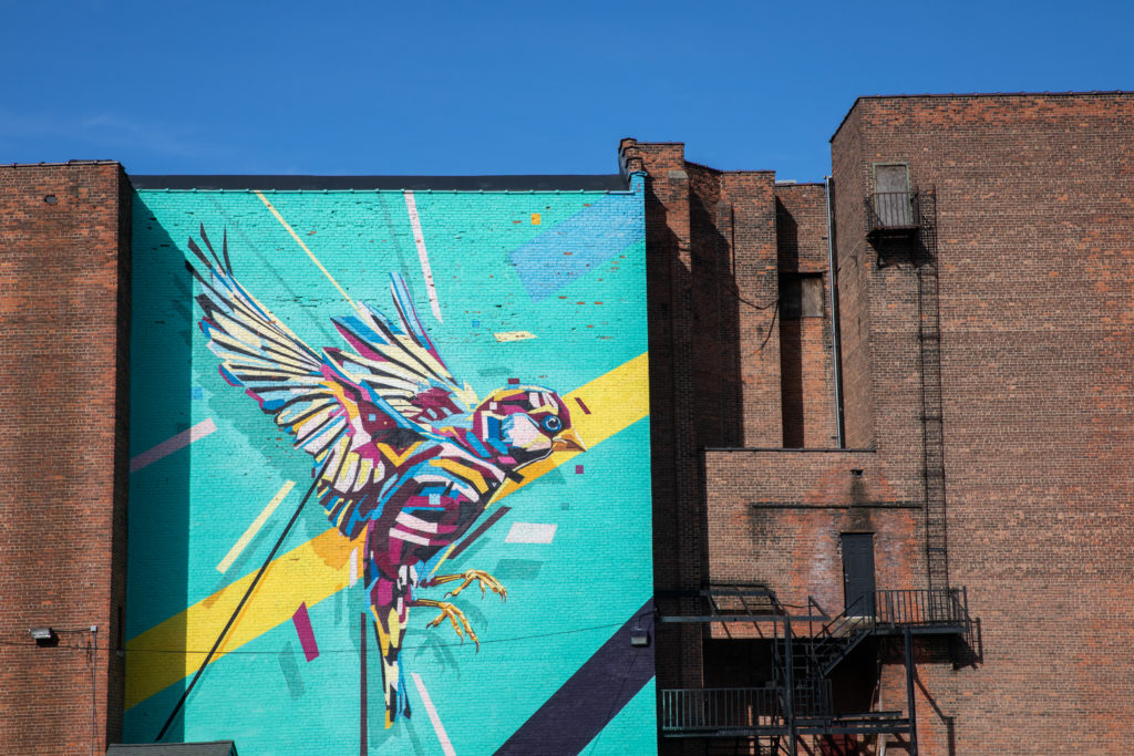 Single Bird Mural on Wall