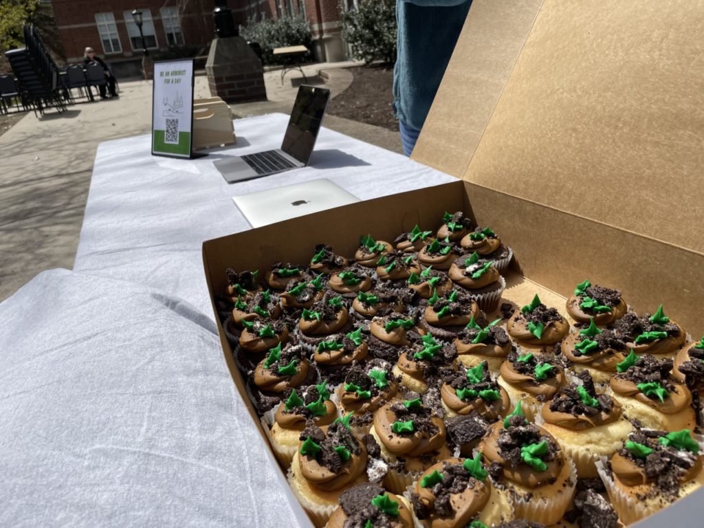 tree themed cupcakes